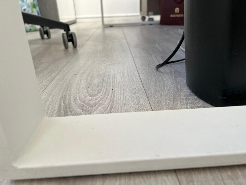 RS Dienstleistungen